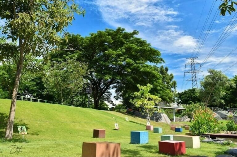 img 20220501 233614 754a3dbec67688bddd4cc03bcbc955c8 c545cf11f470104e9787cbbe9913b353 768x511