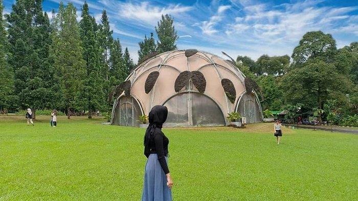 kebun raya bogor jpg