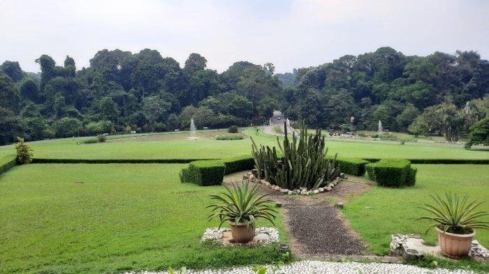 lapangan astrid kebun raya bogor
