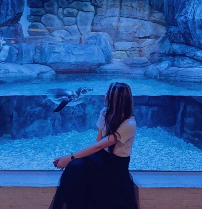 penguin 824b750ccf652f96790fd5714f703f22 768x793