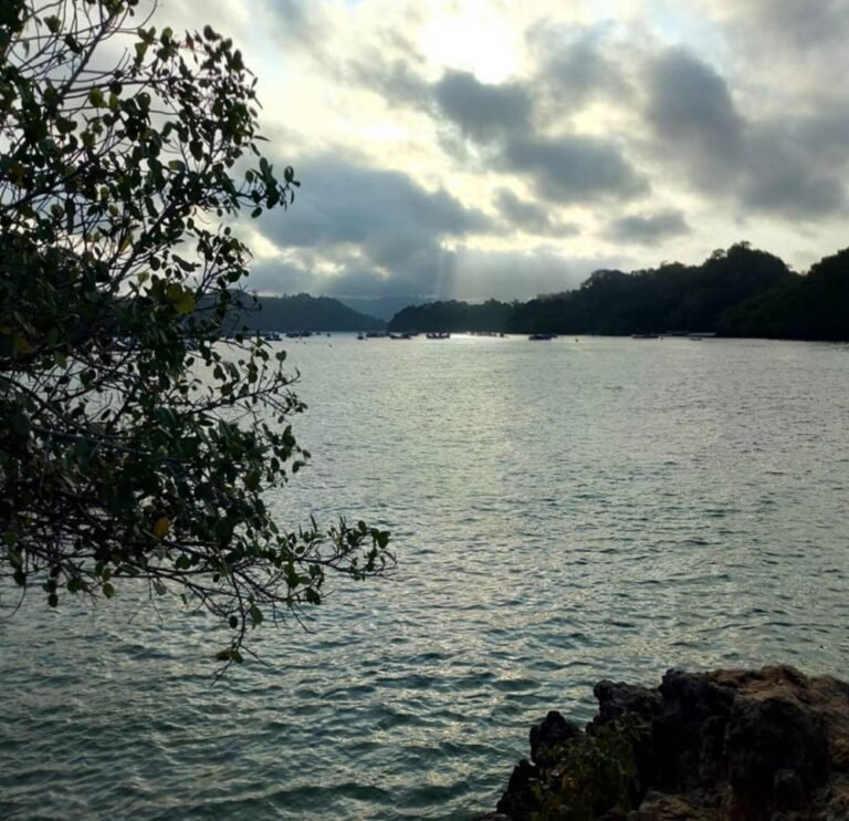 20220905 185010 329ae2b286ff7799fbbec7d4597d307a cd65f2449534bd15867c5efbba2d20fe 768x742