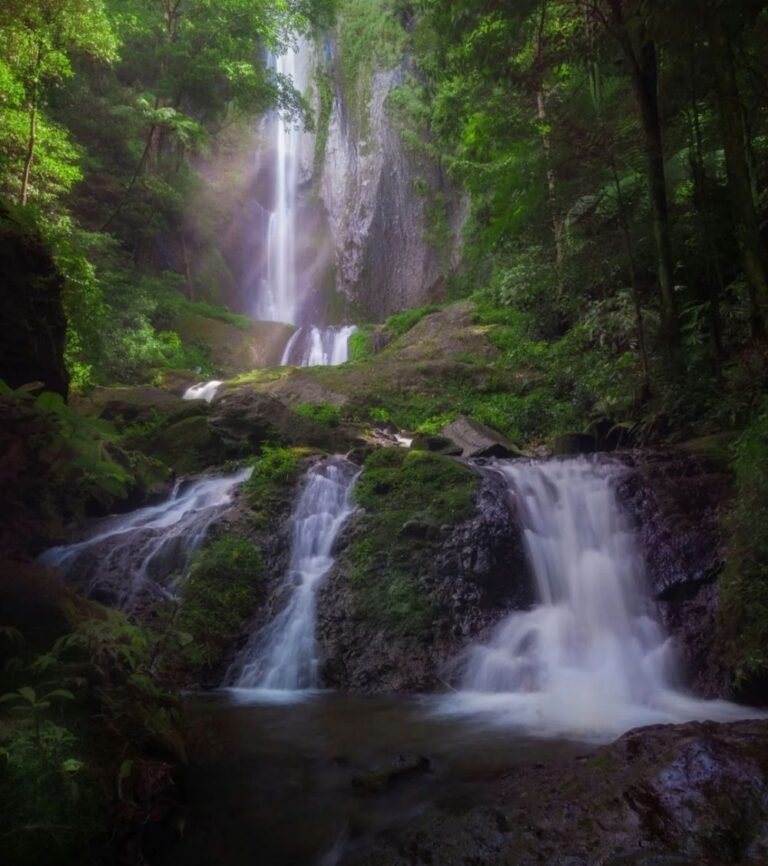 20220929 141606 329ae2b286ff7799fbbec7d4597d307a c8ca4369adf829628a0bd5efa0621859 768x866