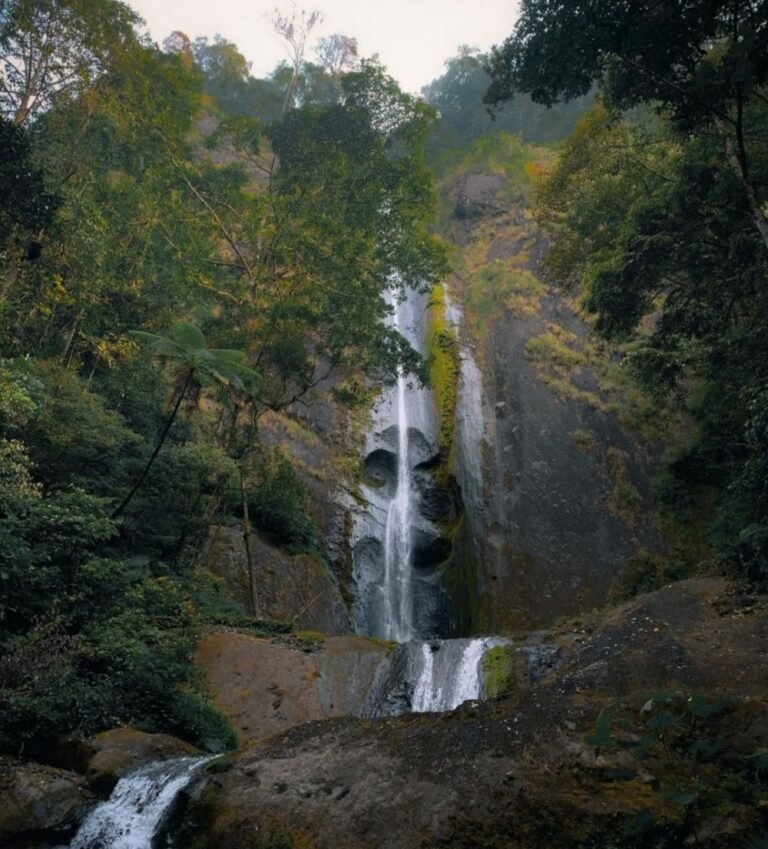 20220929 142213 329ae2b286ff7799fbbec7d4597d307a a6168875118ec7947e39bddb91984f79 768x849