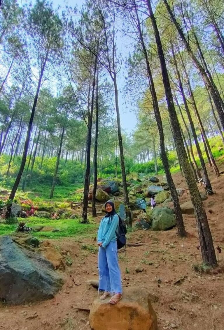 20221003 074343 329ae2b286ff7799fbbec7d4597d307a 99e65577201af3dc7f8c61784c8b5b44 768x1133