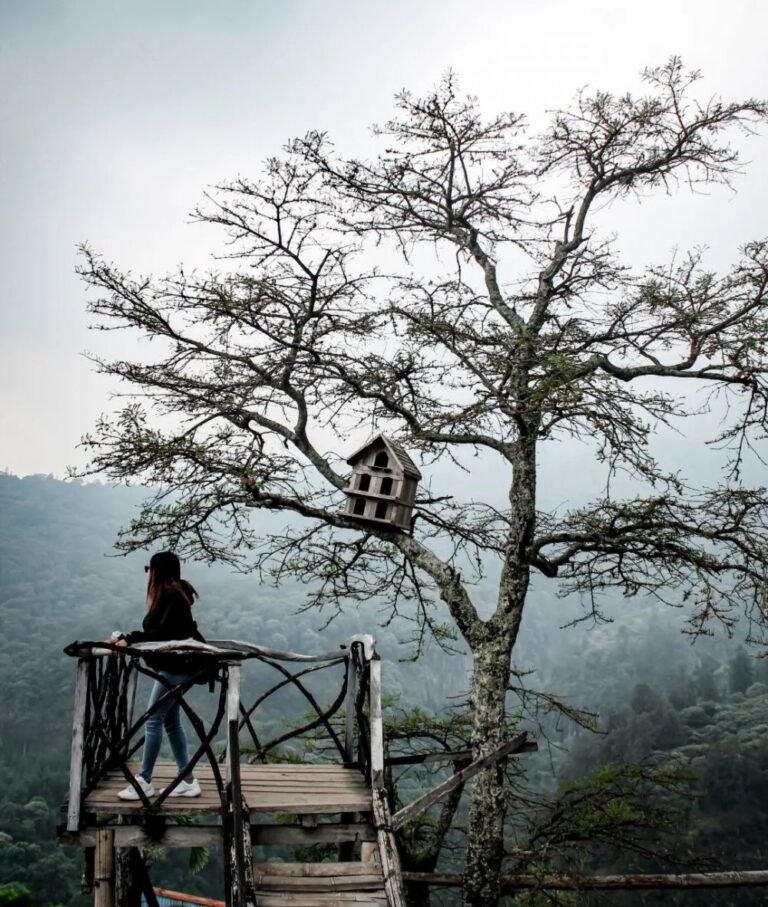 20221003 143516 329ae2b286ff7799fbbec7d4597d307a 7602b246b8e4ccf72e1ac1b5b682665e 768x907