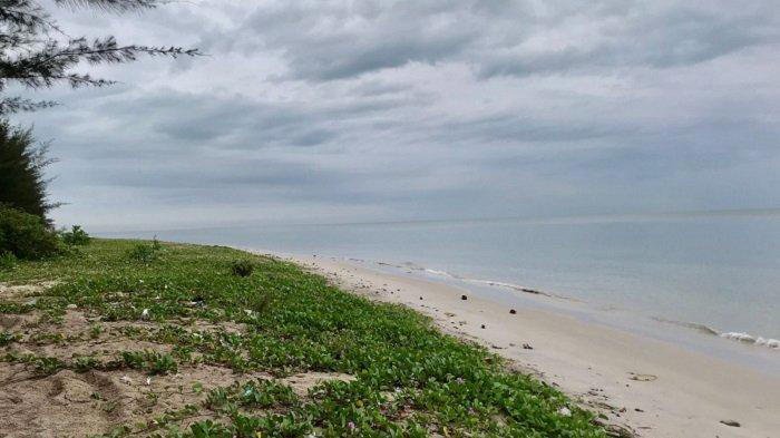 Pantai Koala Panorama Indah di Bawah Jembatan Emas