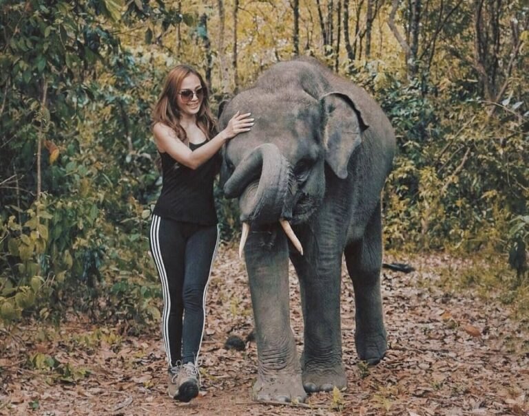 Taman Nasional Way Kambas3 768x605