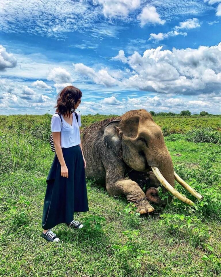 Taman Nasional Way Kambas6 768x960