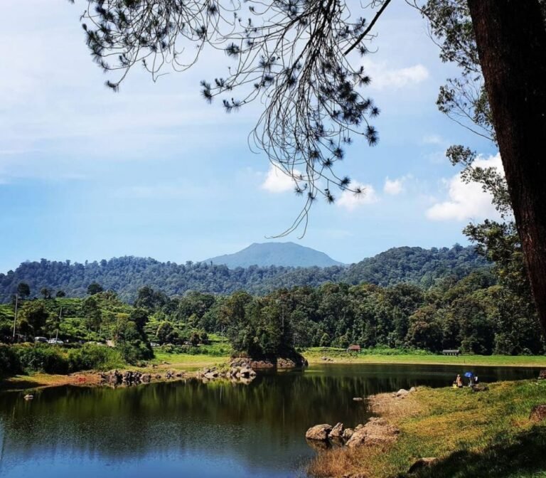 Wisata Situ Patenggang Bandung1 768x672