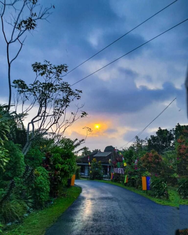 fromandroid a2908a5b58fde8f9c35f4956988990bb 1 768x960