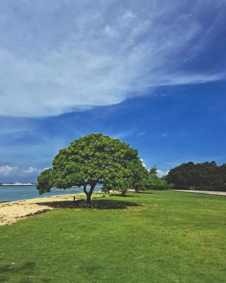 fromandroid a4bc66c0f7ac05d15410ee15f2a3981d 768x960