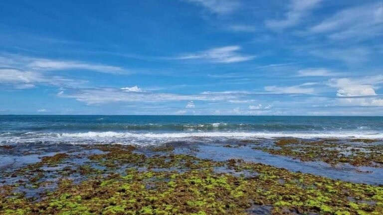 fromandroid f07bcdd54ebd7cb91710fc1876d24c8c 768x432