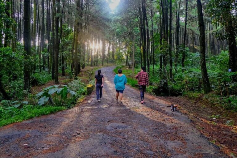 29718310 932709863570235 2022719658414571520 n 768x511