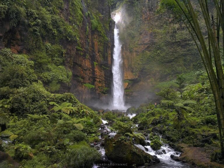 30590695 1896380353985303 7695820979062177792 n 768x575