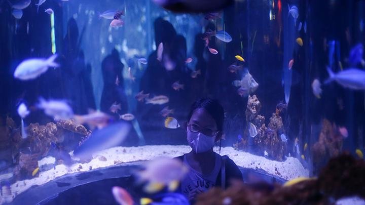 6 Rekomendasi Tempat Wisata yang Cocok untuk Anak, Liburan Sambil Belajar