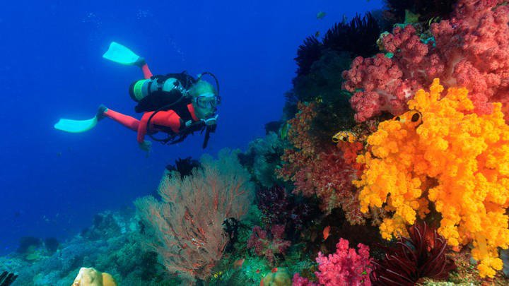 Raja Ampat Jadi Salah Satu Destinasi Wisata Terbaik Dunia untuk Dikunjungi 2023