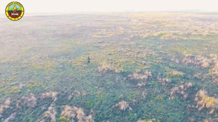 Pesona Savana Youram di Taman Nasional Wasur Merauke