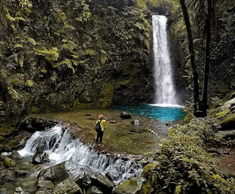 67f59f79 a027 40d3 9119 b341a473a9b8 xs 768x635