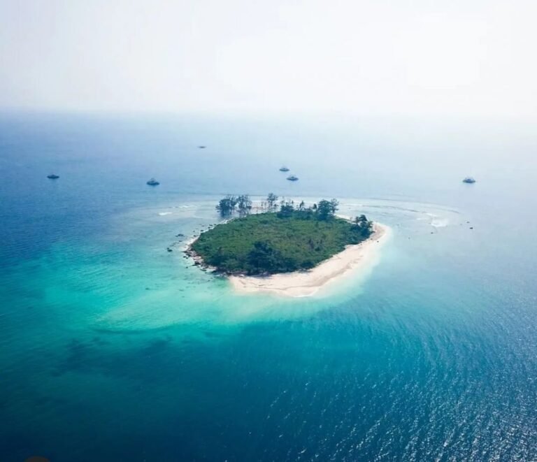 20220322 075948 329ae2b286ff7799fbbec7d4597d307a 6824ae5070873f63dbd6791ee93947aa 768x661 1