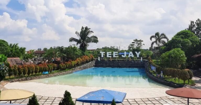 20230117 085722 329ae2b286ff7799fbbec7d4597d307a 906452030b98814a3d6df8cf28b6fda0 768x400 1