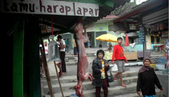 Salah satu wilayah di Daerah Istimewa Yogyakarta yang banyak dikunjungi oleh wisatawan adalah Kabupaten Sleman. Kabupaten yang berada di utara Jogja ini terkenal karena keindahan alam Gunung Merapi. Di samping memiliki keindahan alam, Sleman memiliki beragam kuliner khas yang sayang kalau Anda lewatkan. Makanan Khas Sleman 1. Jadah Tempe Jadah tempe merupakan sebuah makanan khas dari wilayah Kaliurang, Sleman. Makanan ini terdiri atas jadah atau ketan, tempe dan cabai rawit. Makanan ini memiki perpaduan cita rasa yang unik, menggabungkan rasa gurih dan manis. Banyak orang menyebut jadah tempe sebagai burger jawa karena cara memakannya yang ditumpuk menyerupai burger. Bagi Anda yang sedang berkunjung ke Sleman, Anda wajib mencicipi makanan yang satu ini. Kuliner Otentik Khas Sleman: Jadah Tempe Hingga Ayam Goreng Kalasan Kuliner Otentik Khas Sleman: Jadah Tempe Hingga Ayam Goreng Kalasan © Disediakan oleh Tempo.co Jadah Tempe dan Sate Kelinci Kaliurang. TEMPO/Muh Syaifullah 2. Pepes Belut USB 3.0 Type A Male To B Male Superspeed Peripheral Cable 3m Universal USB 3.0 Type A Male To B Male Superspeed Peripheral Cable 3m Universal Ad InkStation Kecamatan Godean yang berada di wilayah Sleman Barat ini terkenal dengan belutnya. Bahkan, di godean terdapat sentar belut. Bagi Anda yang sedang berkunjung ke Sleman, sayang jika Anda melewatkan untuk tidak menyantap olahan belut, salah satunya pepes belut. Selain itu, Anda juga dapat menyantap nasi belut yang dapat menguggah selera. 3. Ayam Goreng Kalasan Salah satu makanan khas yang populer di Sleman adalah ayam goreng kalsan. Sebagai informasi, Kalasan merupakan sebuah nama kecamatan di wilayah Sleman. Nama kalasan dipilih karena di wilayah tersebut terdapat banyak warung yang menjual ayam goreng. Berbeda dengan ayam goreng pada umumnya, ayam goreng kalasan memiliki rasa yang manis dan gurih. Selain itu, salah satu pelengkap ayam goreng kalasan yang banyak diburu oleh banyak wisatawan adalah kremesan pada ayam goreng kalasan. 4. Entok Slenget Enthok slenget merupakan makana khasa dari Sleman yang berbahan dasar daging enthok. Menariknya, dalam pengolahannya, enthok slenget diawali dengan mengendapkan enthok dengan tujuan untuk mendaptkan tekstur daging yang lunak dan tidak alot. Makanan ini memiliki cita rasa rempah-rempah yang komplit. Bagi anda yang sedang berkunjung ke wilayah Sleman, untuk menjumpai enthok slenget, Anda dapat menemukannya di Jalan Pakem-Turi, Sleman.