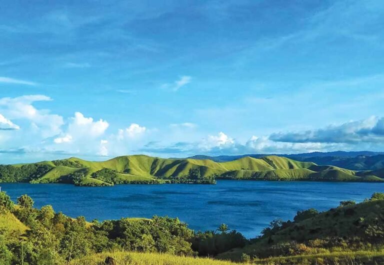 GATEFOLD BACK OKE 768x530 1