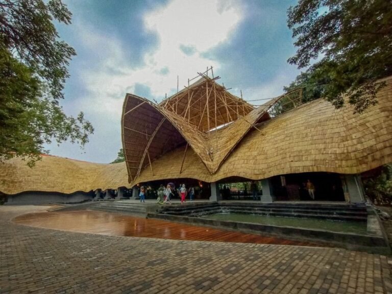 Solo Safari1 768x576 1