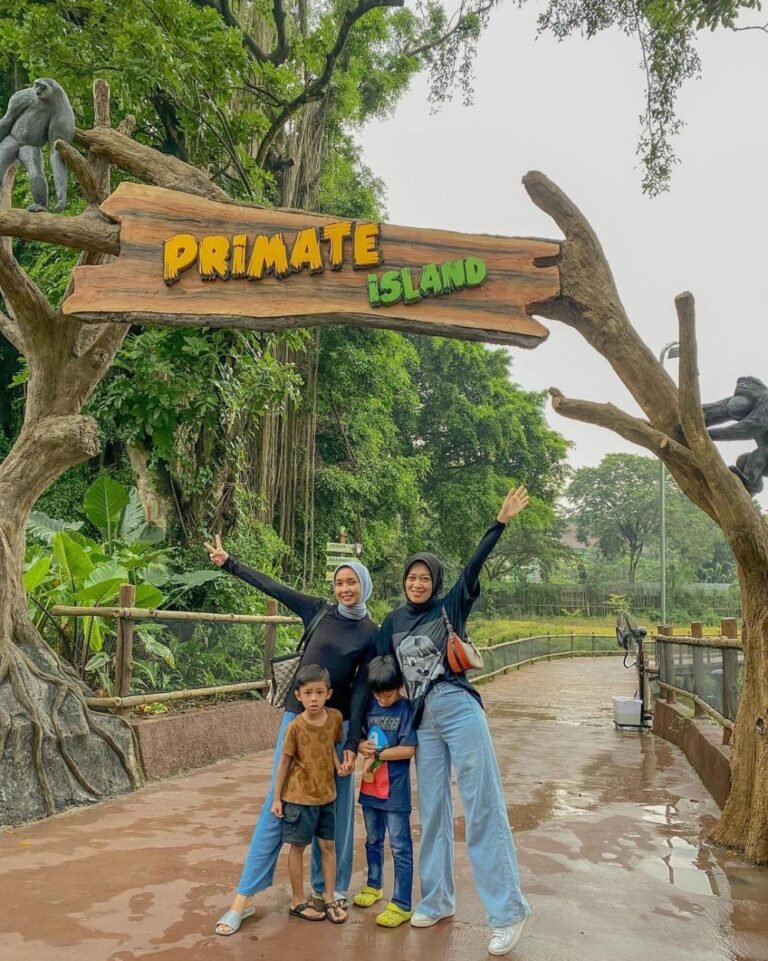 Solo Safari2 768x961 1