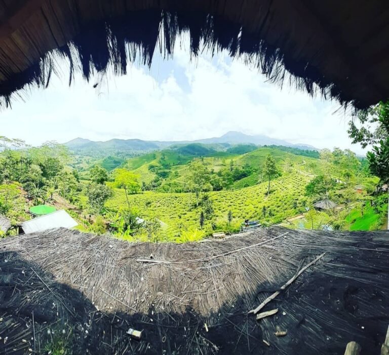 Wisata Bukit Kacapi Tasikmalaya4 768x701 1