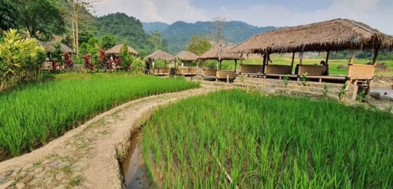 Wisata Leuwi Pangaduan Bogor3 768x370 1