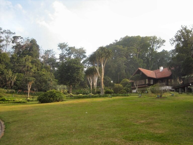 1280px Botanical garden   Cibodas   Indonesia 3 768x576