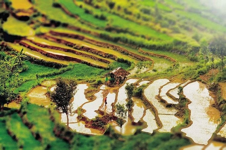 Desa wisata Wukirsari di Imogiri Bantul sumber ig @suryojdb