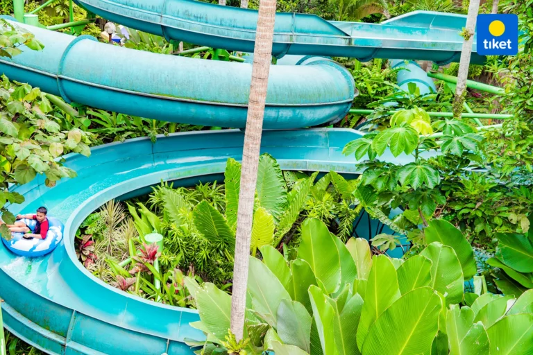 e4b23691 1f5c 4d4c 85b1 ab26a7b637c1 1611807307079 adef49b9a46bde35a2ce5937a6b2d313 768x512