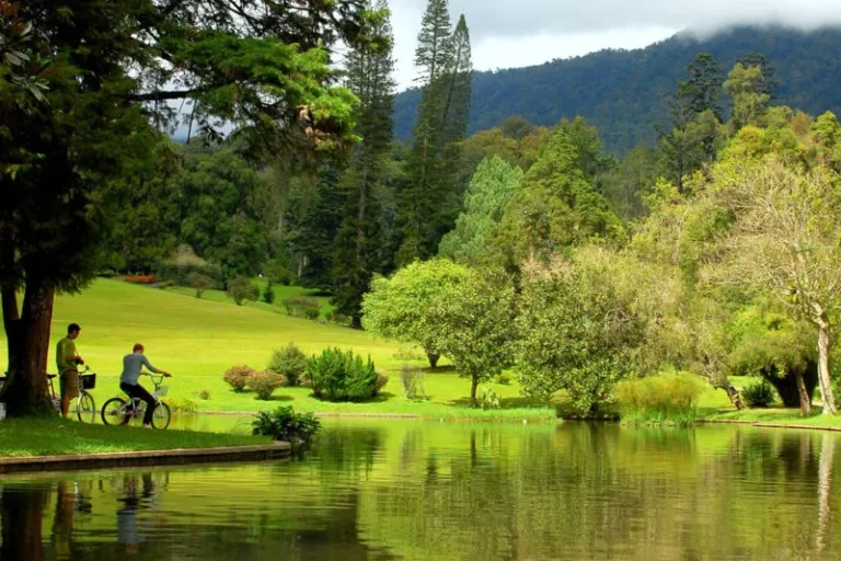 featured image krc 768x512