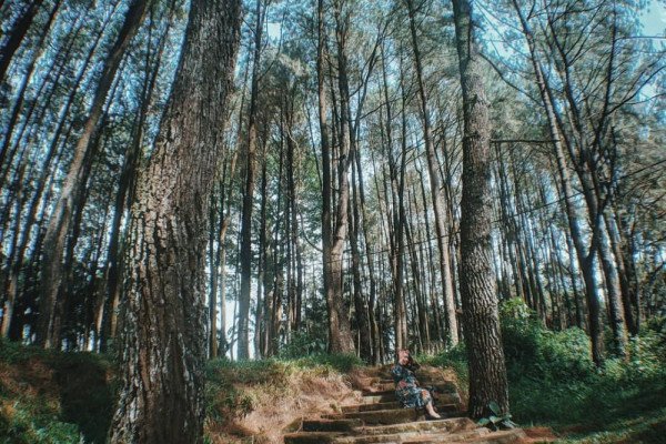 snapinstaapp 135293572 323013022314384 5895994779722695444 n 1080 cedcce9d8faafdd29e551e957cc5e435 600x400