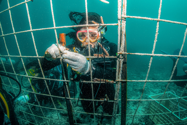 7 Wisata Hijau Bumi Journey, Tanam Mangrove dan Terumbu Karang