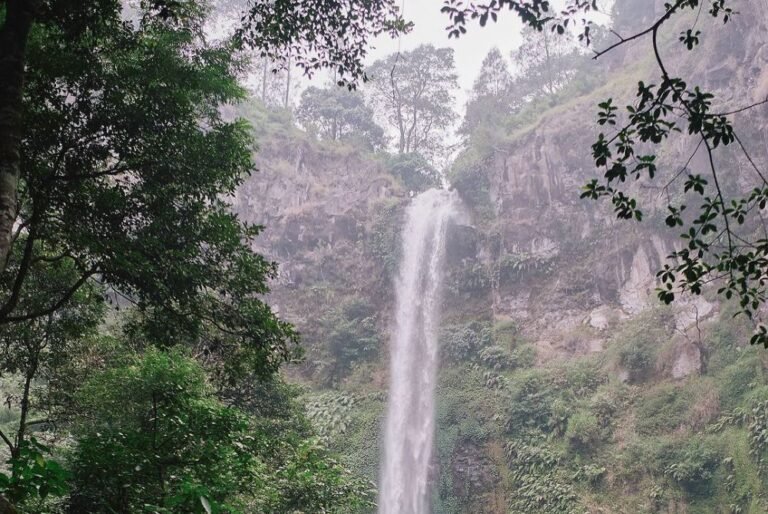 Coban Rondo Malang7 768x514