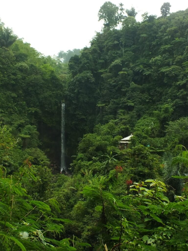 Curug Gado Bangkong2 768x1025