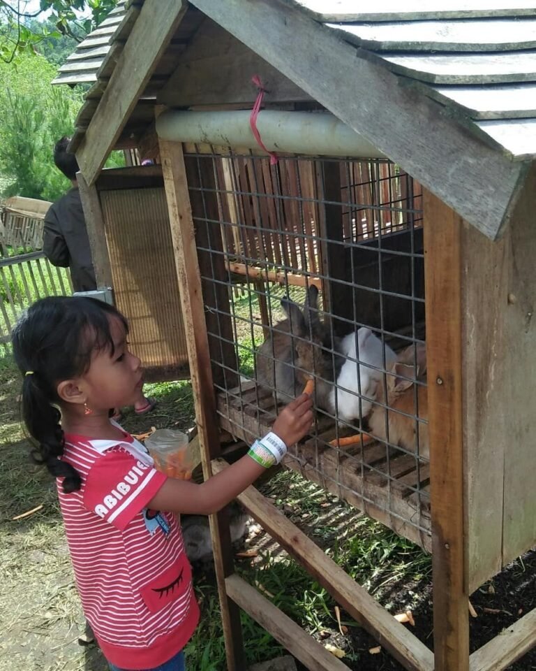 Taman Kelinci Ciwidey2 768x960