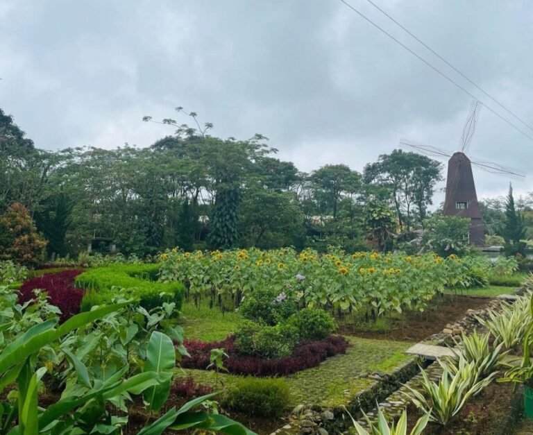 Taman Matahari Bogor3 768x627