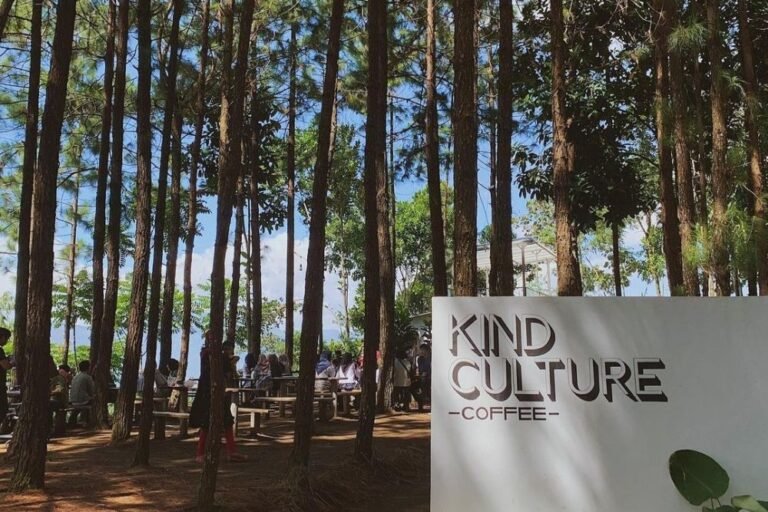 Wisata Alam Pinus Ciherang4 768x512