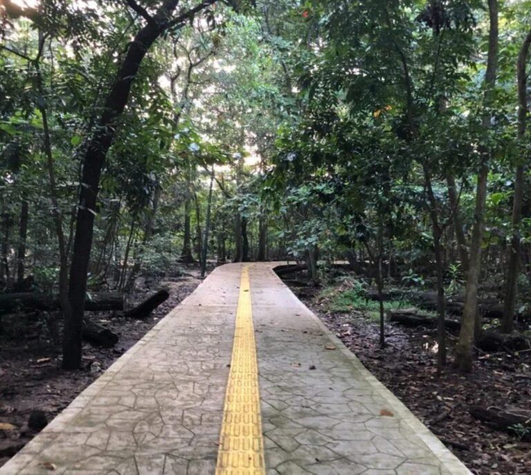 Wisata Hutan Kota Srengseng2 768x687