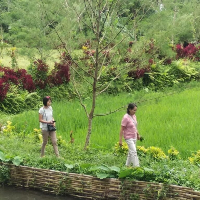 Wisata Sumber Bon C3 768x768