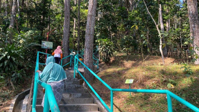 Pengunjung berjalan melewati anak tangga di Kebun Raya Gunung Tidar