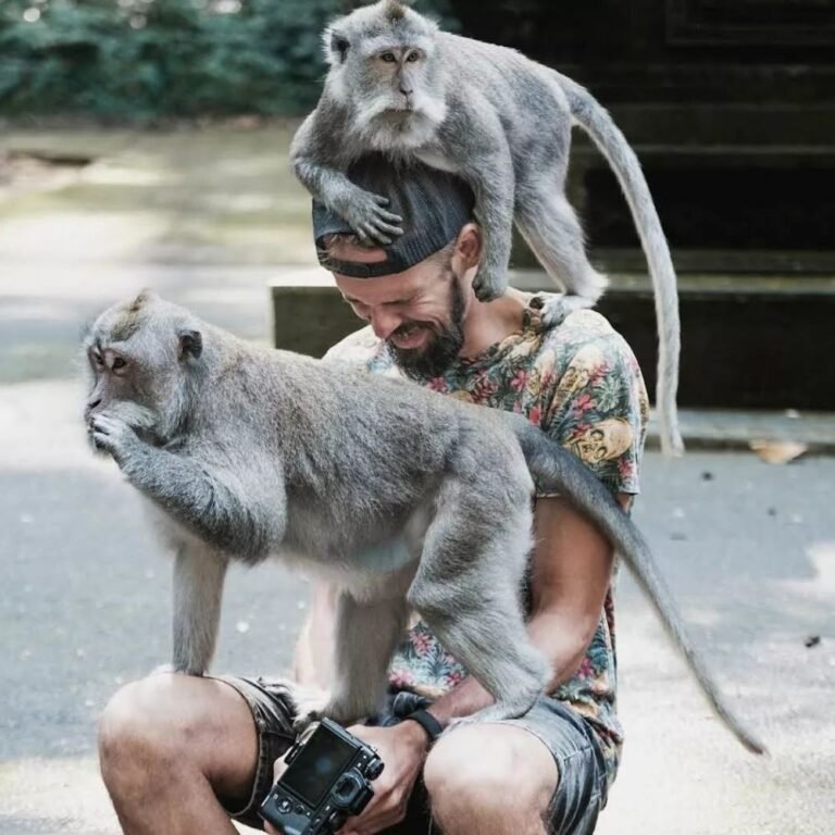 0851030281813 768x768