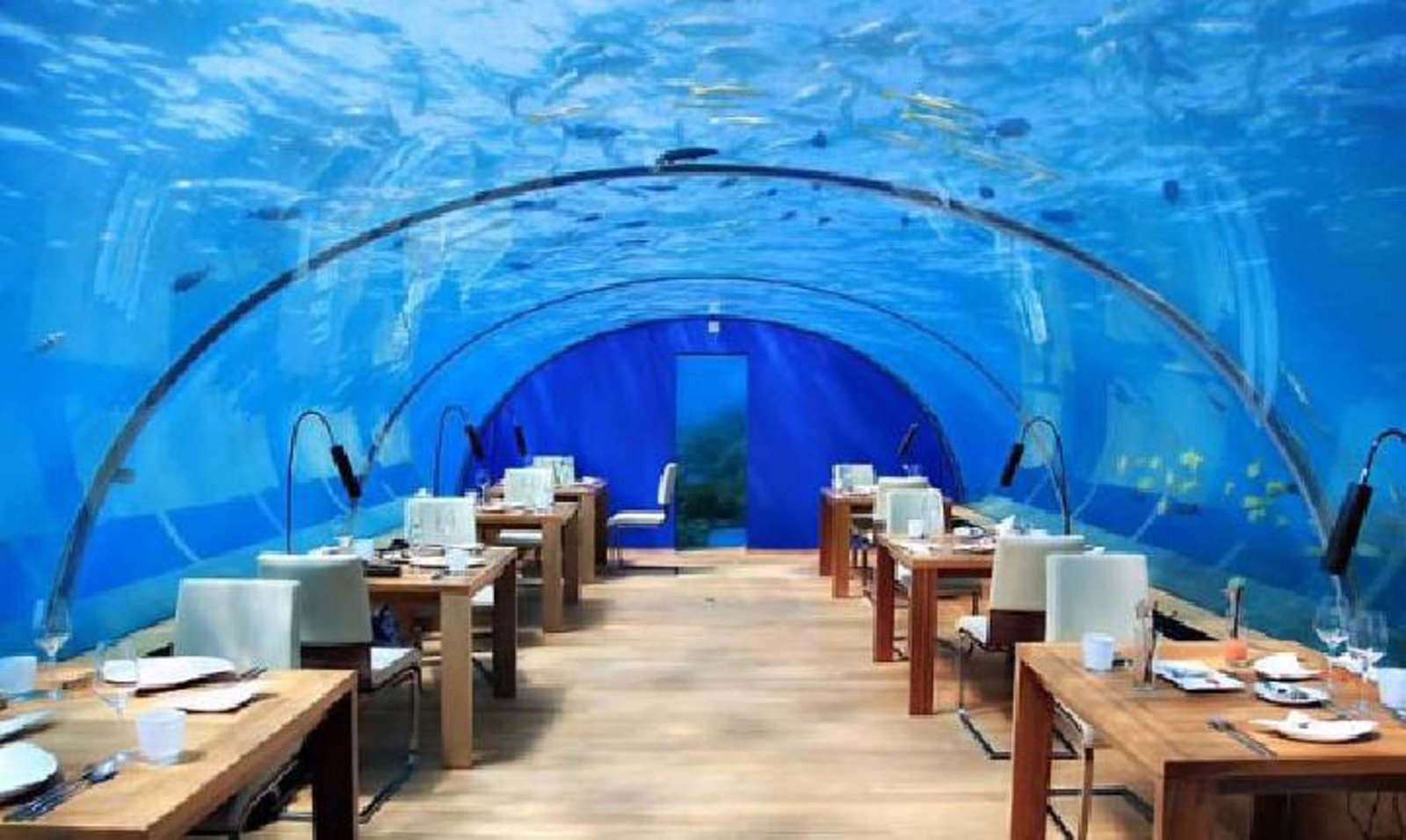 8 Restoran Bawah Laut di Maladewa, Makan di Tengah Terumbu Karang dan Ikan Warna-warni