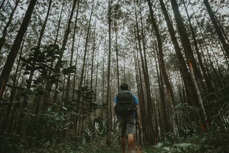 Desa Wisata Taraju10 768x514