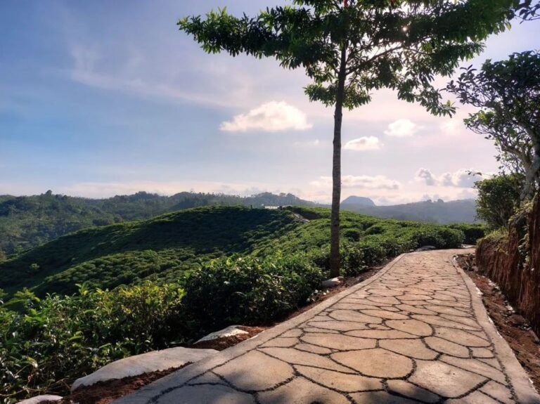 Desa Wisata Taraju3 768x575