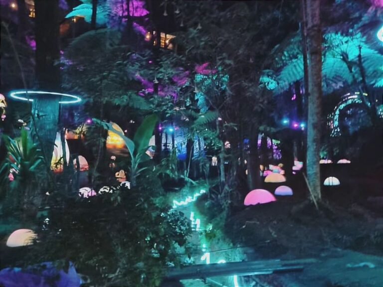 Hutan Mycelia Lembang2 768x576