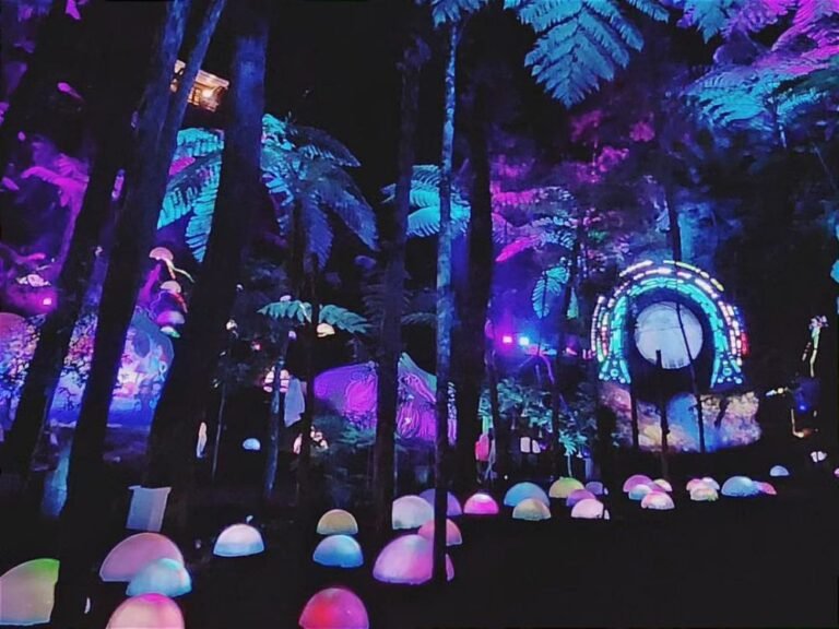 Hutan Mycelia Lembang5 768x576